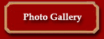 Horse picture gallery